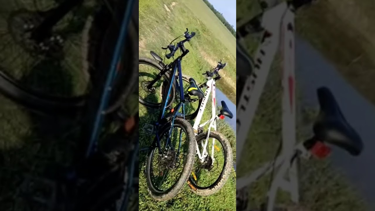 cycle reveu