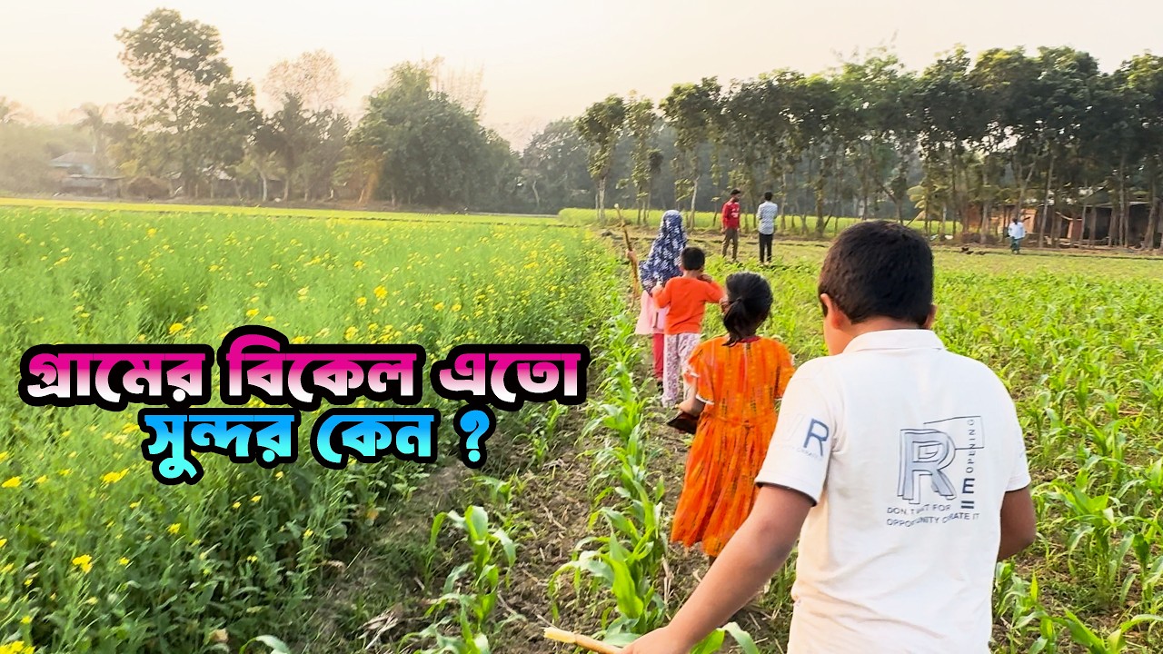গ্রামের বিকেল এতো সুন্দর কেন🏡  আফরাহিম এর দাদার বাড়ি Village Toor  Ronzu Mir VLOG #kushtia