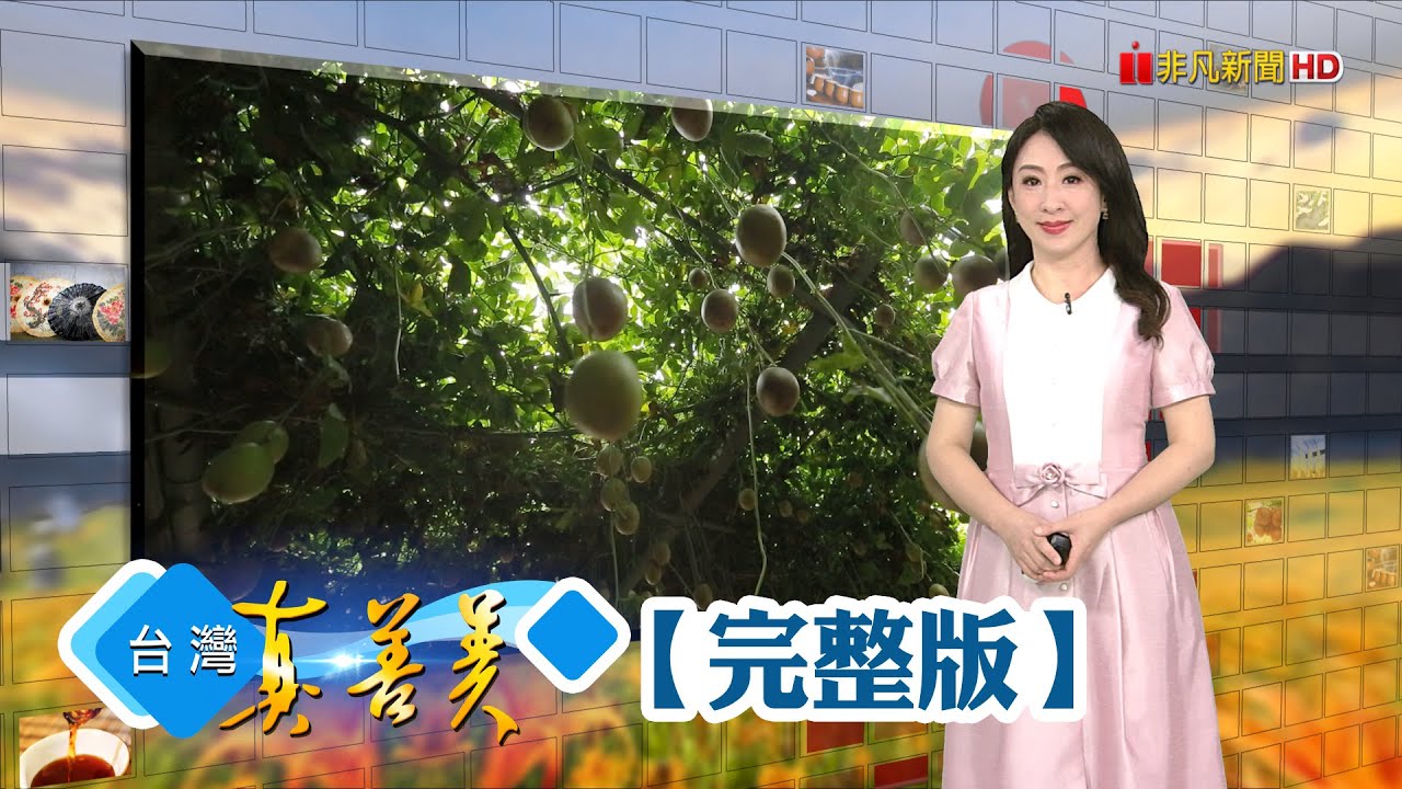 溫室百香果不睡吊床 垂吊式種植全年採收/北漂青年返鄉當蒜農 闢通路搏海口蒜生機/小店家翻轉經營思維 靠數位轉型逆勢突圍/鳳梨再造環保革命 自動取纖廢葉變黃金【台灣真善美】2025.06.29✦全集✦