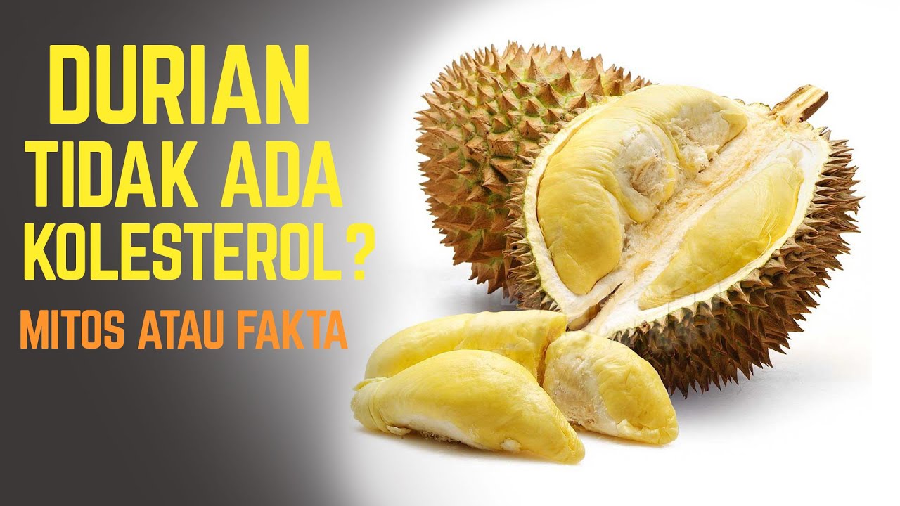 DURIAN TIDAK MENGANDUNG KOLESTEROL! MITOS ATAU FAKTA