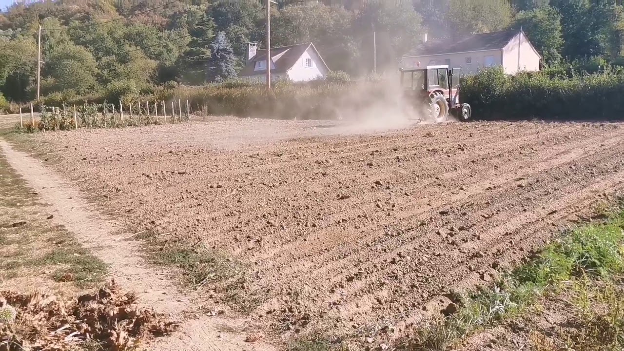 Récolte des pomme de terre du début à la fin