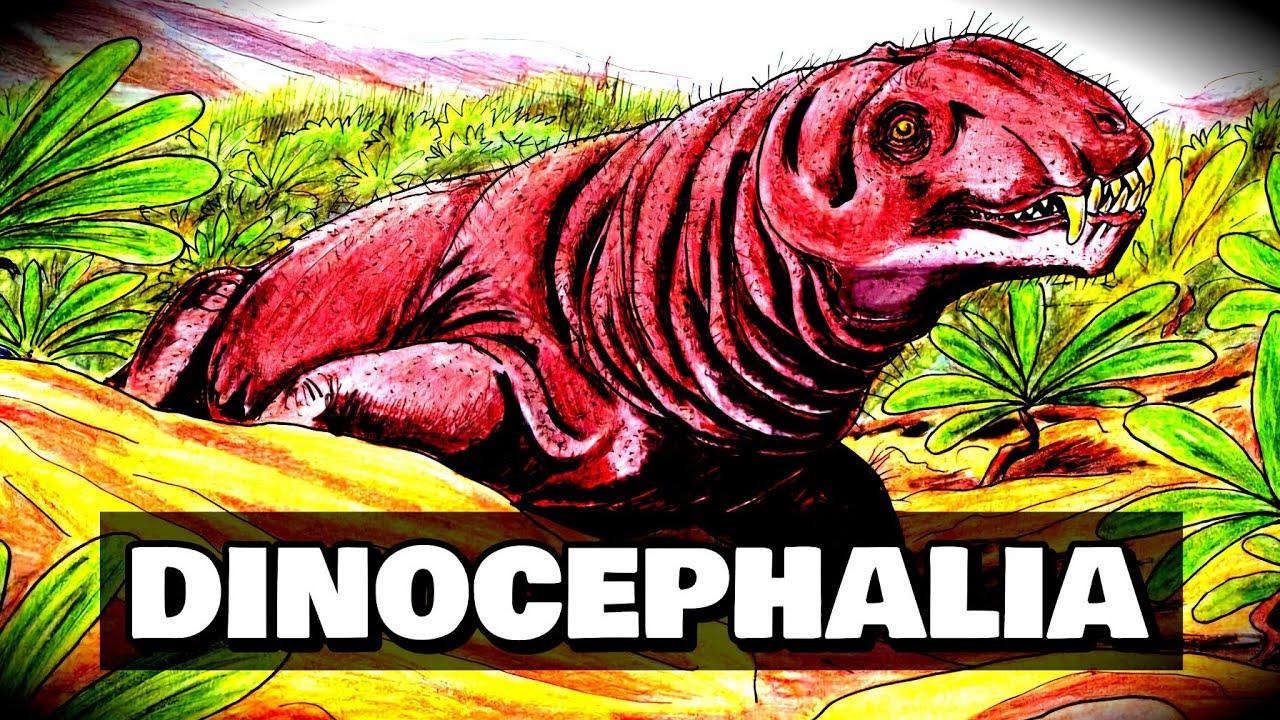 Dinocefalové: Savcovití plazi z dob před dinosaury | Bruno