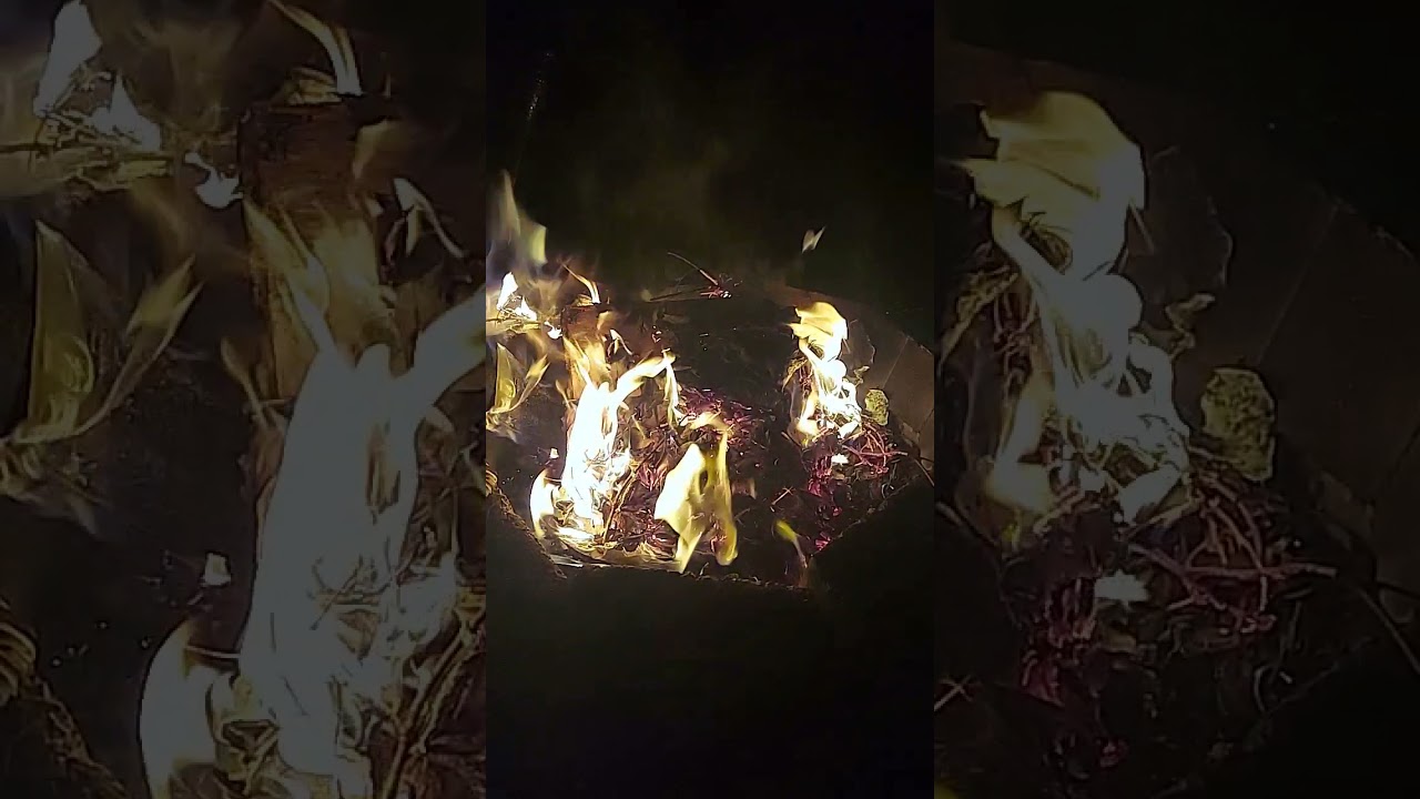 Relaxing Backyard Fire in the fire pit.  Crackling fire sounds. burning leaves. sounds for relaxing