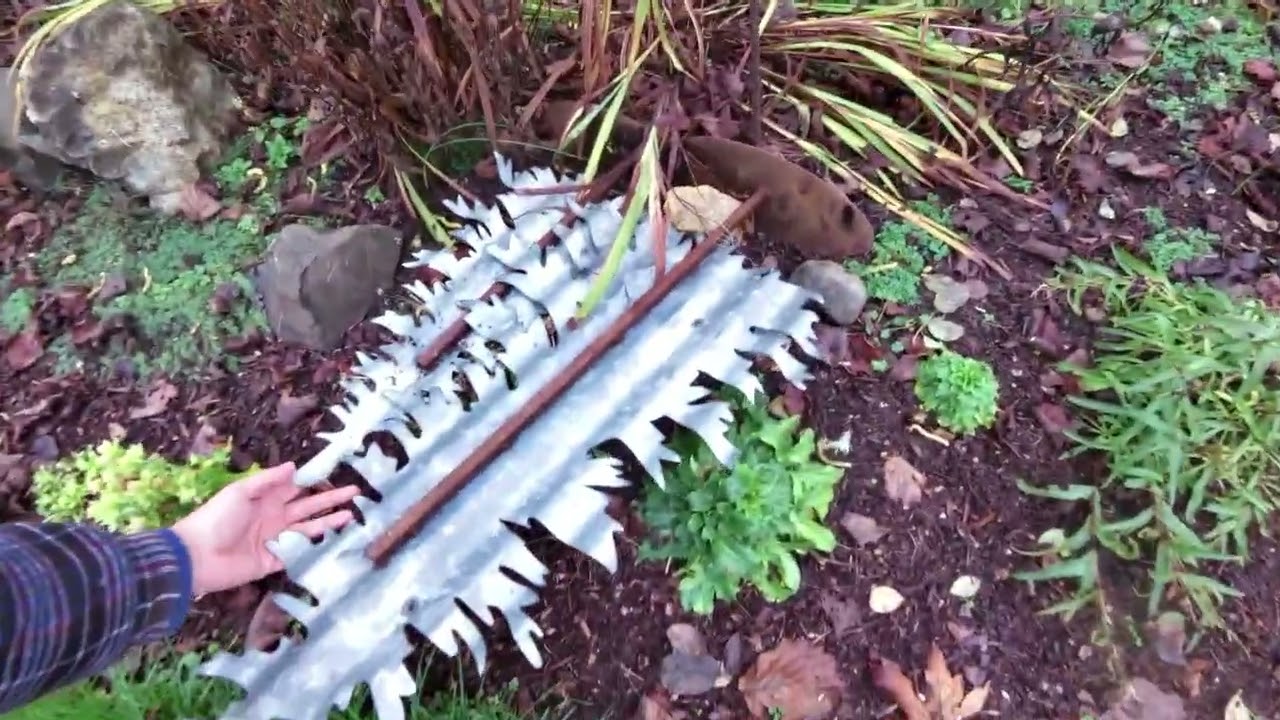 winter solstice garden