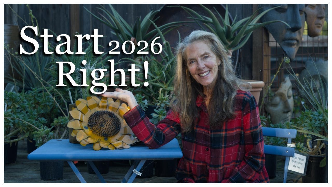 🌸💚The January Garden: All You Need to Know for a Flourishing 2026!  #plants #gardentips #gardening🌹