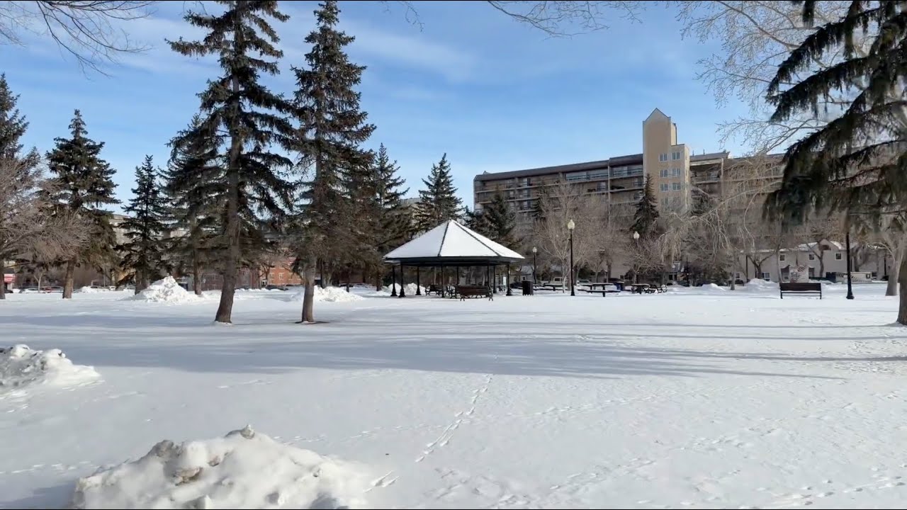 Прогулка по Реджайне, 28 января 2026 года: Я вернулась! Короткая прогулка с травмированным (но во...