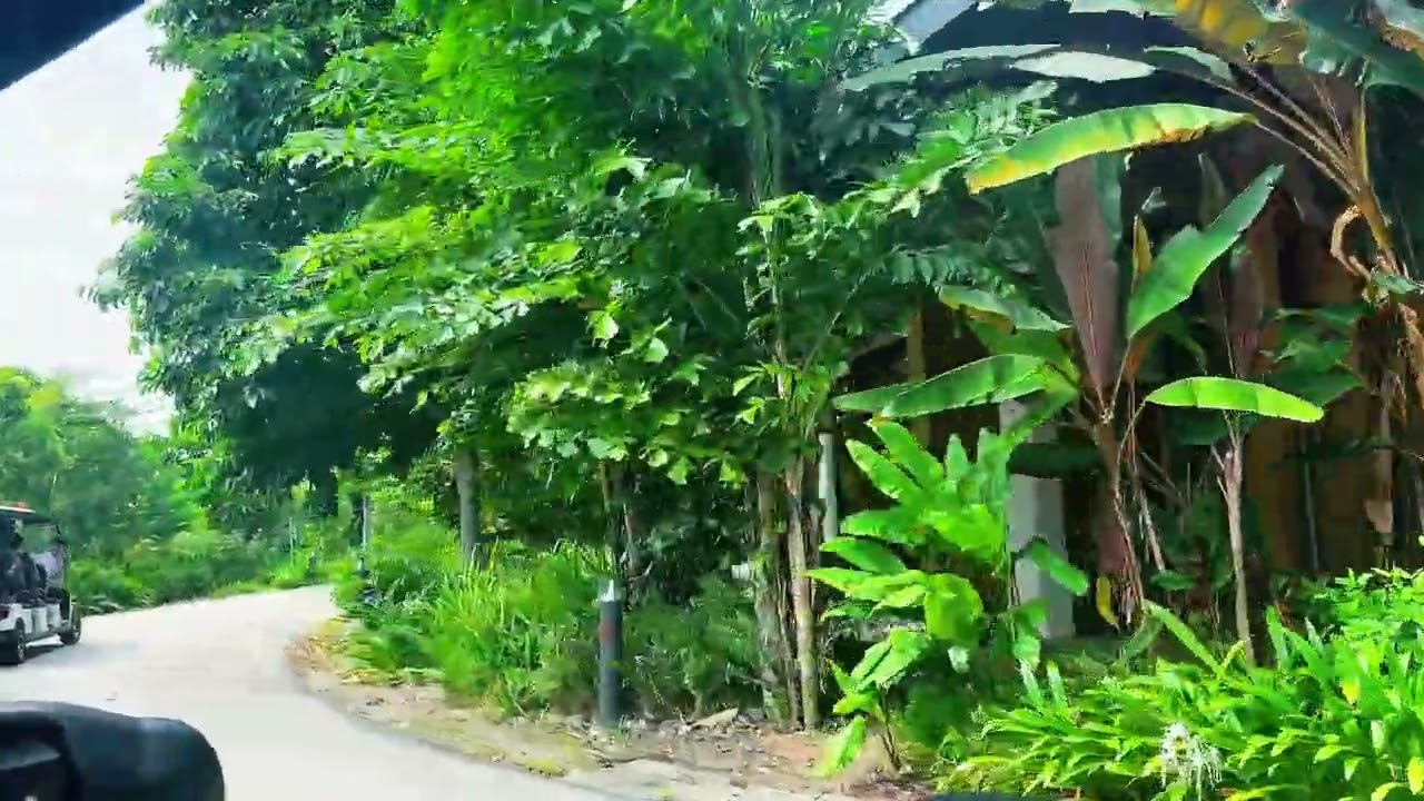 Jurong Lake Garden 
