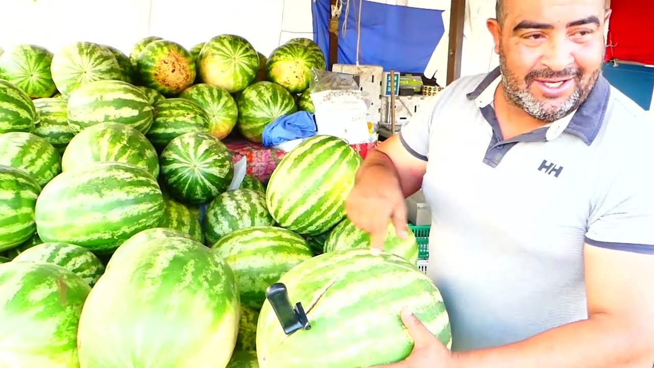 الطريقة الصحيحة إلي تشري بها الدلاع في تونس 