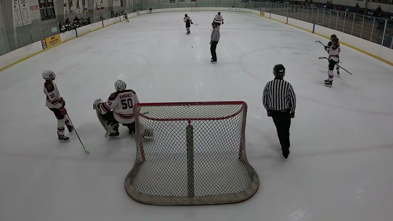2026 Feb 14 vs Northern MI Bears [W5-1]