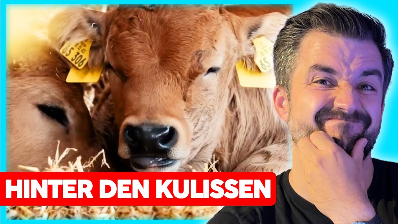 Bio-Fleisch & Tierwohl &ndash; Das schockiert mich an der Quarks-Doku