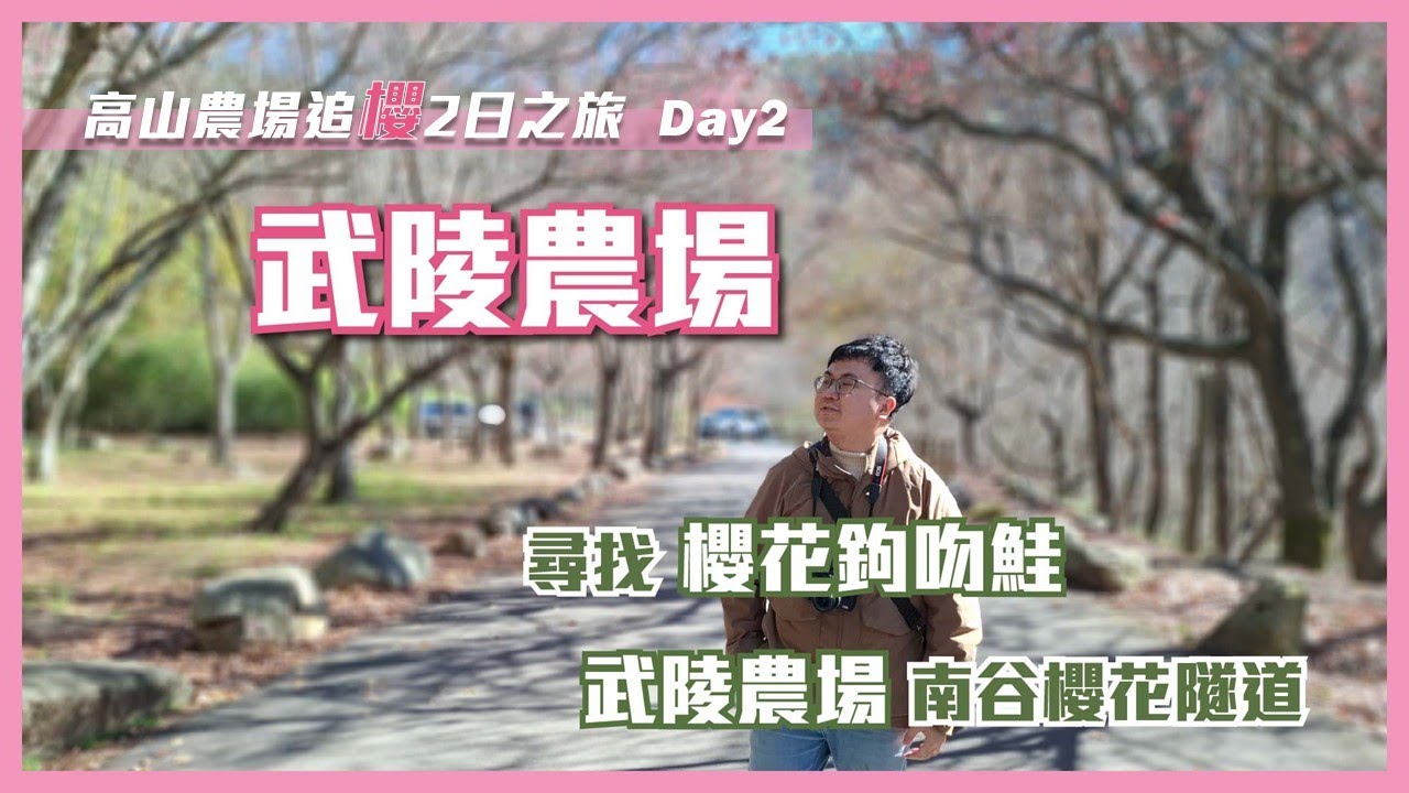 【高山追櫻之旅EP2｜武陵農場】南谷櫻花隧道｜雪霸國家公園｜櫻花鉤吻鮭