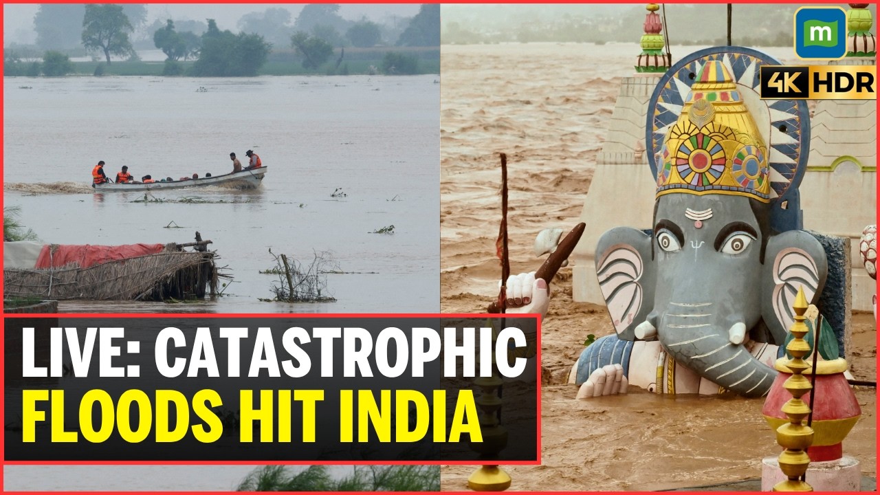 INDIA FLOOD LIVE: YAMUNA & Ganga Rivers Overflow in Himachal & Haridwar | World News