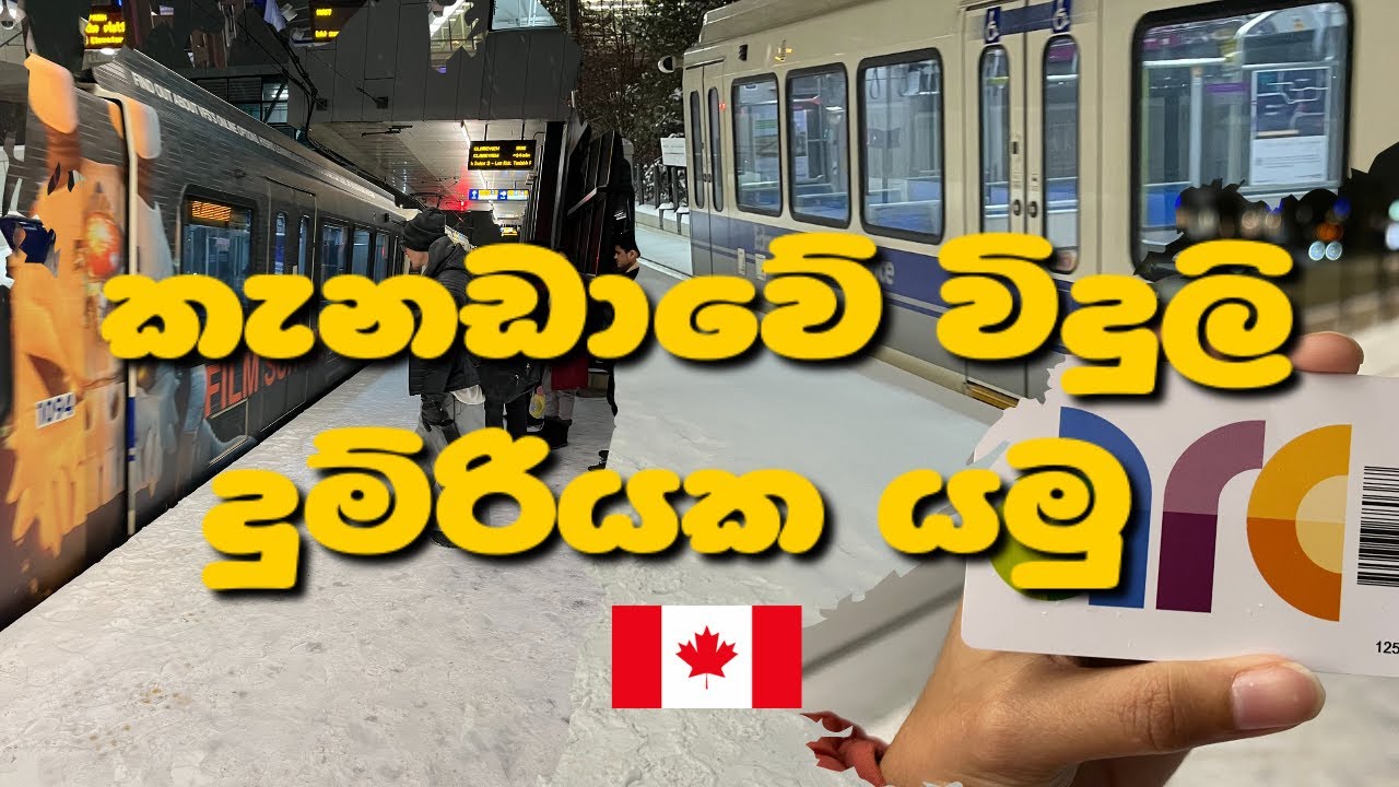 කැනඩාවේ පොදු ප්‍රවාහනය 🇨🇦| How to use public transport in Canada | Canada Sinhala Vlog