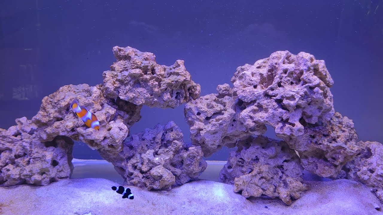 🔴 ROCA ARTIFICIAL y arena Aquaforest Biosand . 4 meses después . Opinión personal .