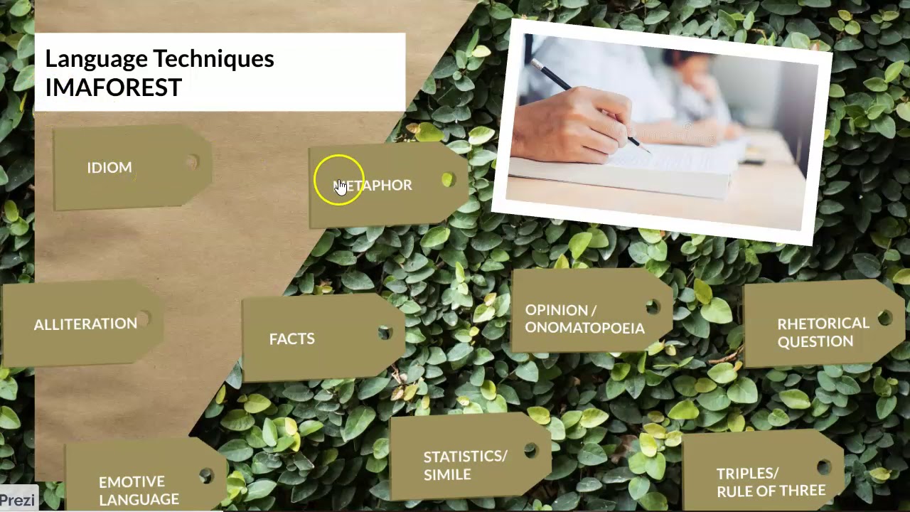 Language Techniques   IMAFOREST