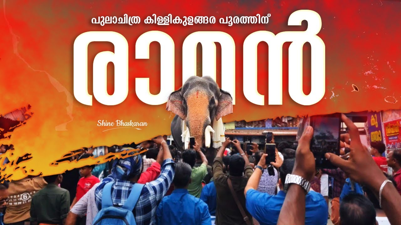 Thechikottukavu Ramachandran Killikulangara Pooram 2025 | Raman Killikavu Pooram 2025