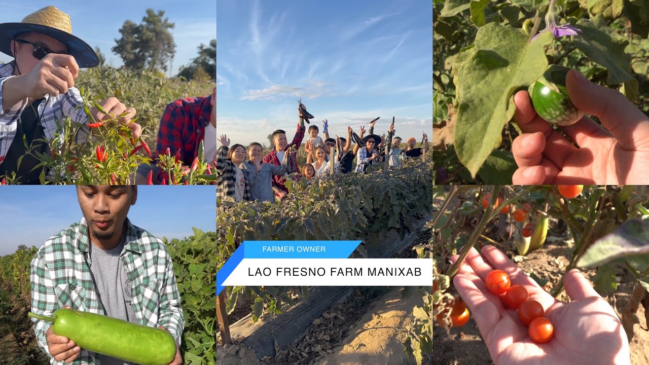 Lao and Hmong Farm Community in Fresno, California | Documentary | Lao Mekka
