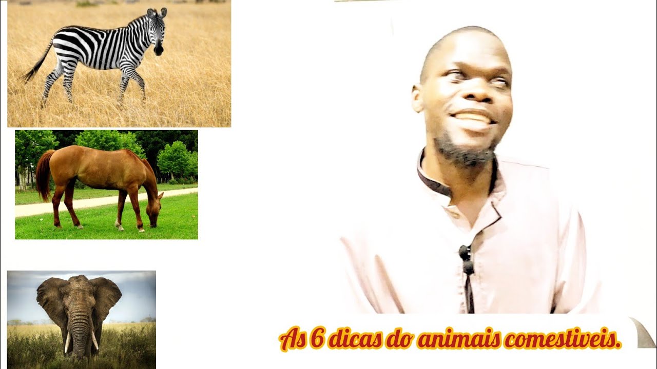 As 6 dicas de como saber se animal X ou y é comestivel ou não. Ustaz Curcio