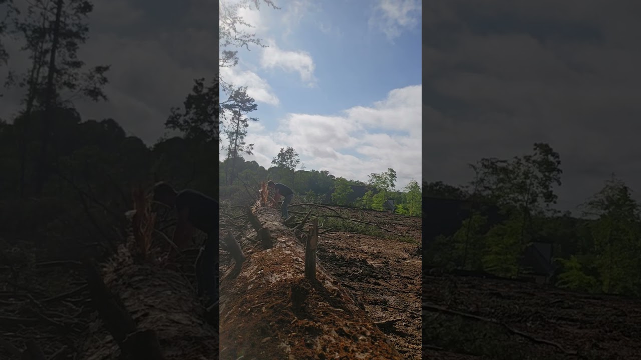 blip the throttle and enjoy it 