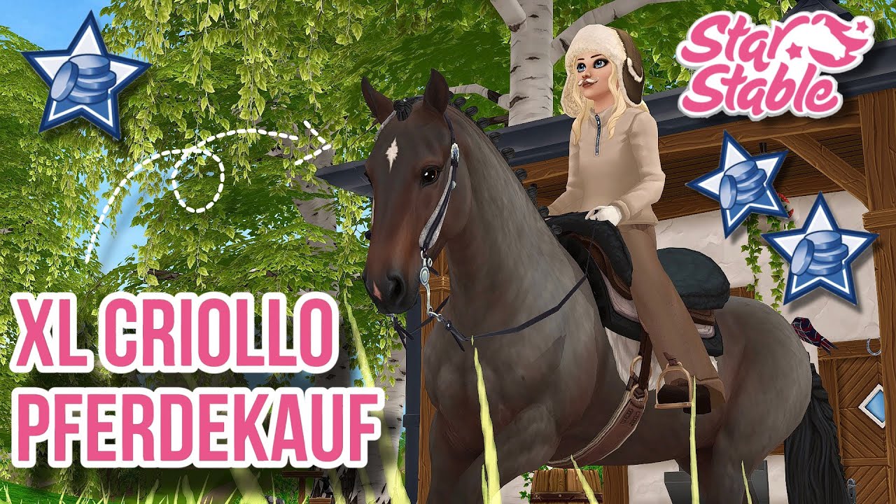 ESKALATION!😨 XL Criollo PFERDEKAUF🤭💸 // Star Stable Online