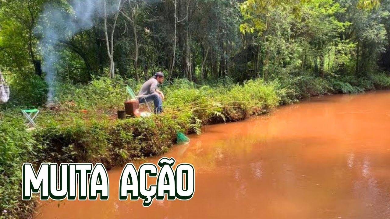 Muita ação na PESCARIA de TILÁPIA 