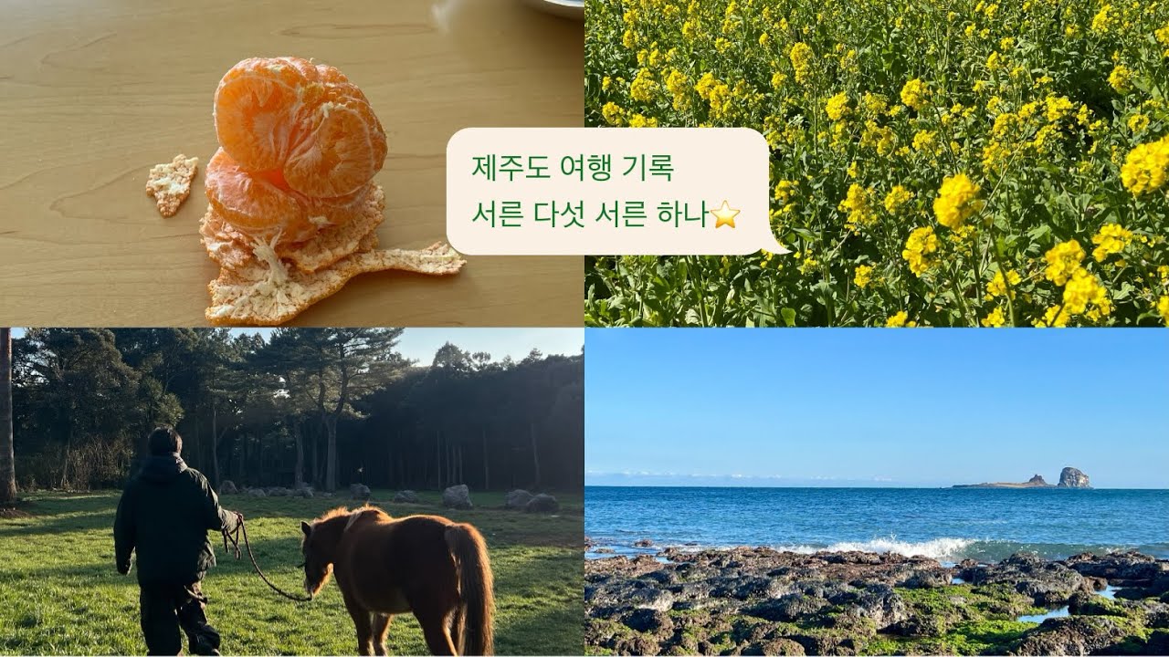 30대 결혼 3년차 부부의 제주도서 설연휴 나기, 부부관계회복!