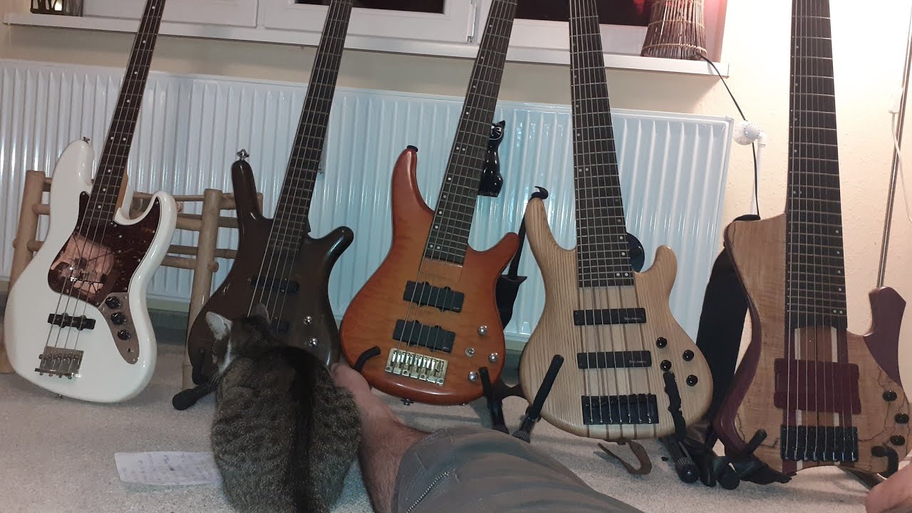 Lesson #0 getting your first bass , buying bass guitar guide everything about the bass starting bass