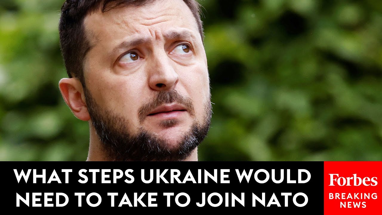 What Steps Ukraine Would Need To Take To Join NATO