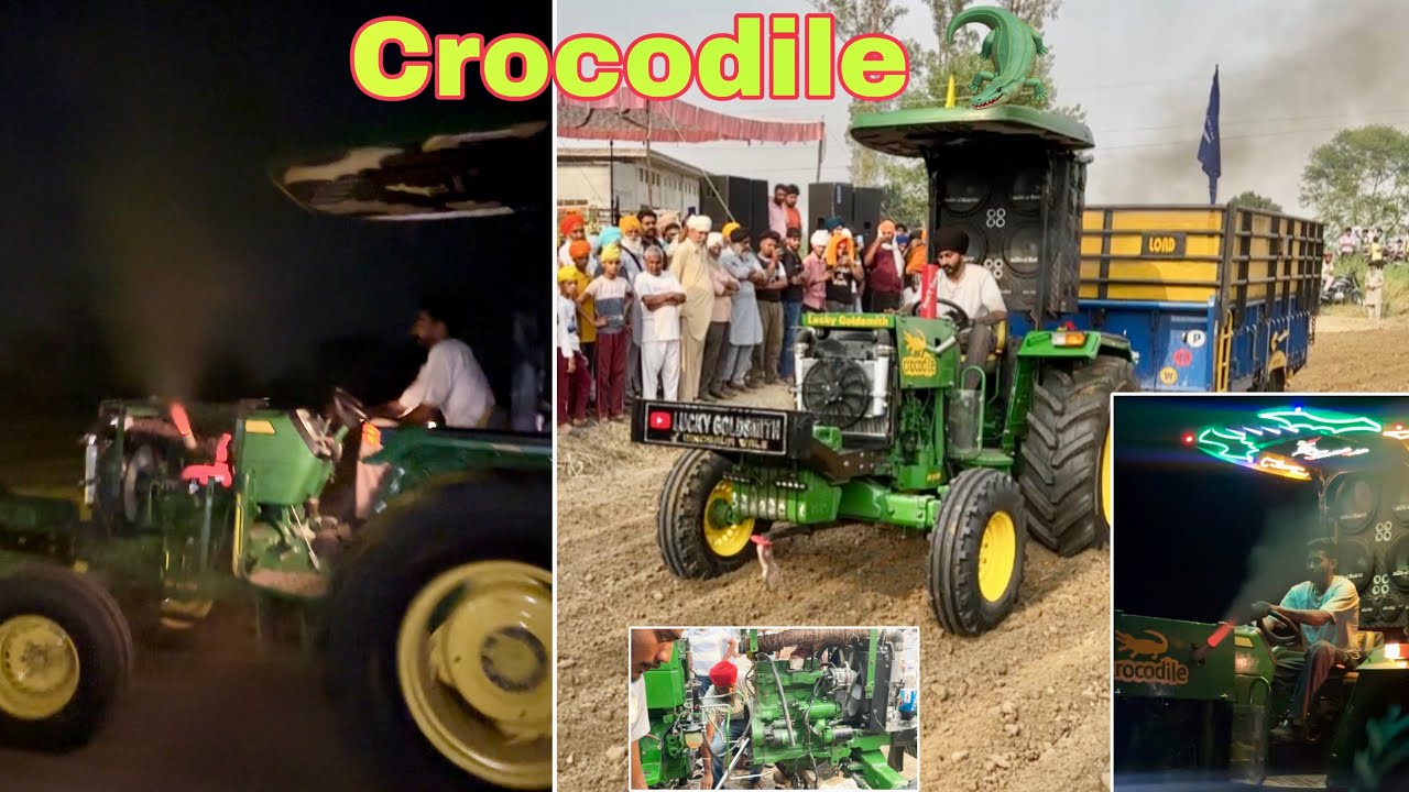 Crocodile Trali mila 🐊🔥| Fraiwhel De Nut Tut Gaye c 😫| Lucky Goldsmith