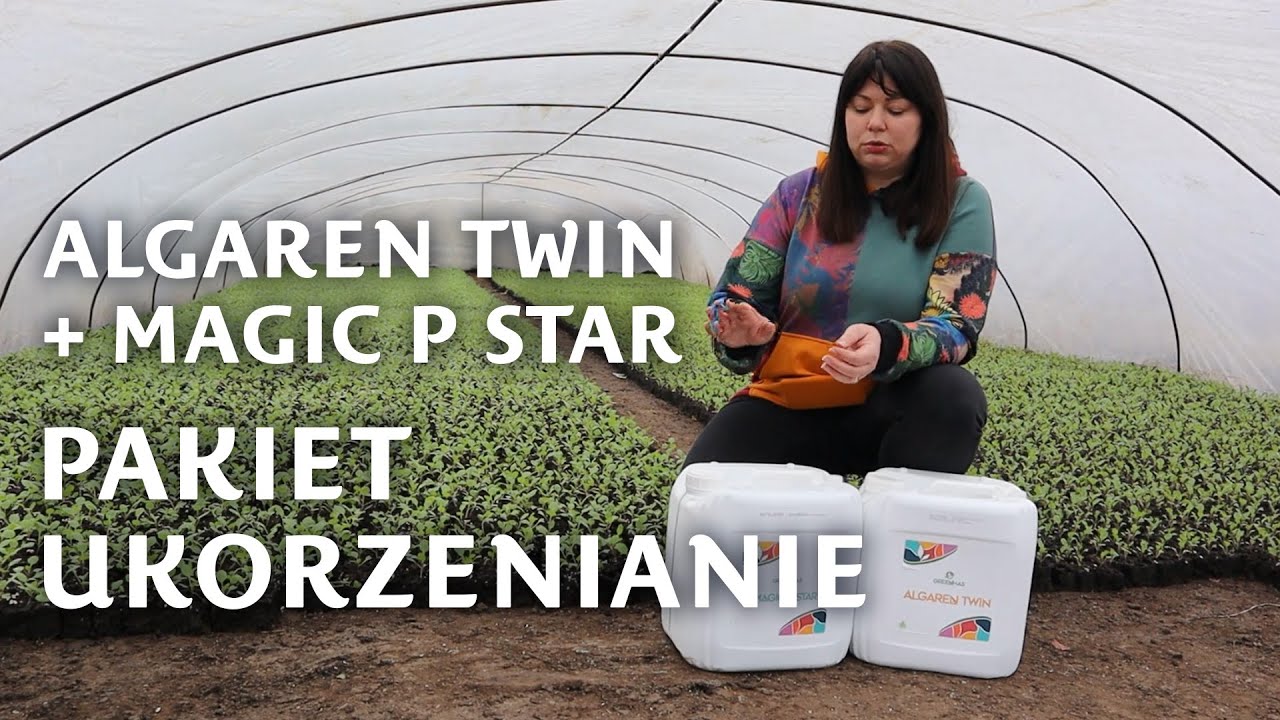 Pakiet ukorzenianie - Algaren Twin + Magic P Star