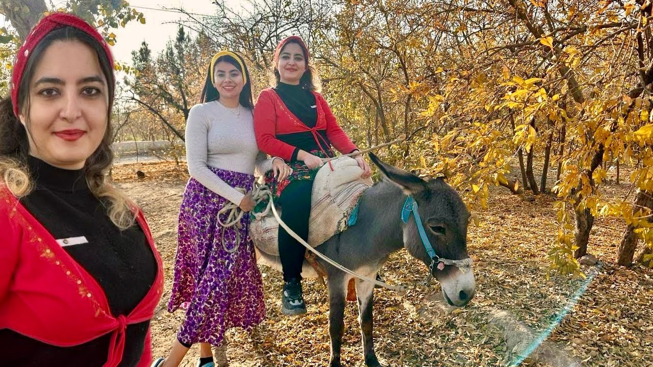 Riding My Donkey In village | Amazing Day With My Friends