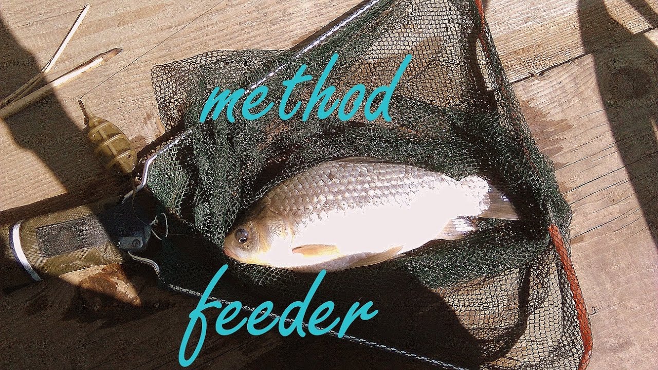 Method feeder sistem