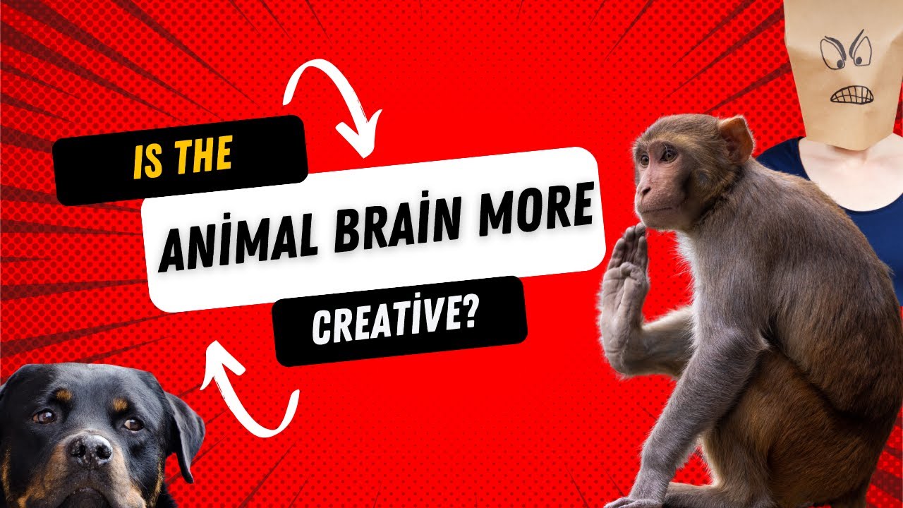Animal Intelligence: A Journey Through Evolution