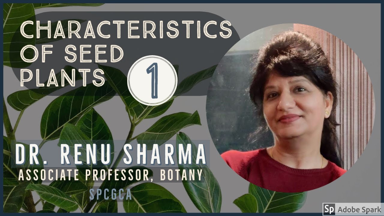Characteristics of Seed Plants Part - 1 :: Dr. Renu Sharma
