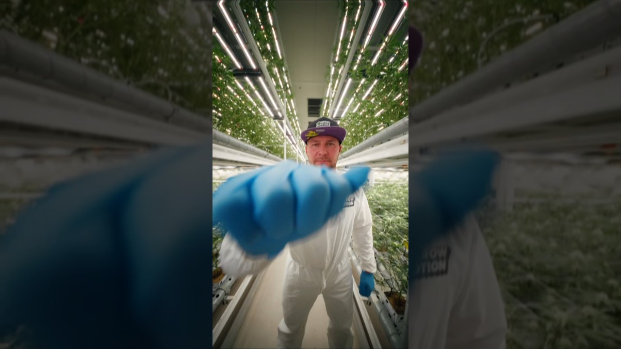 Pheno Hunting Show - Bewirb dich JETZT!