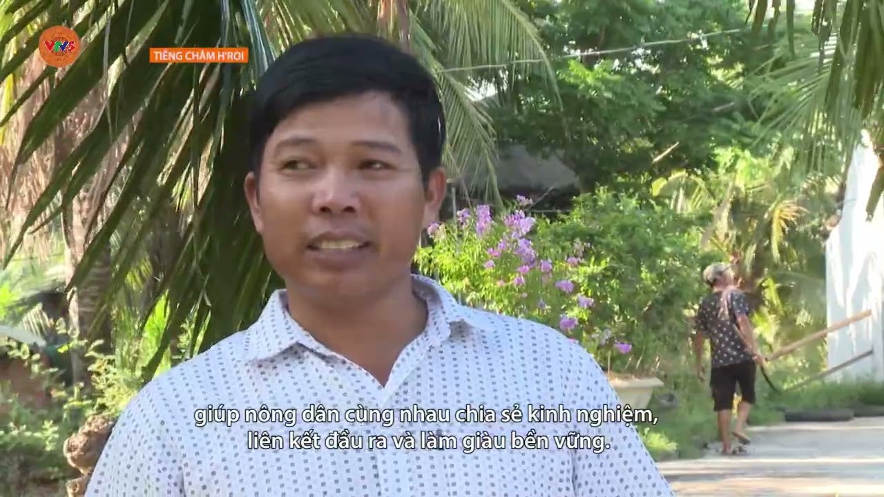[TIẾNG CHĂM] SỨC LAN TỎA CỦA PHONG TRÀO NÔNG DÂN SẢN XUẤT, KINH DOANH GIỎI | VTV5