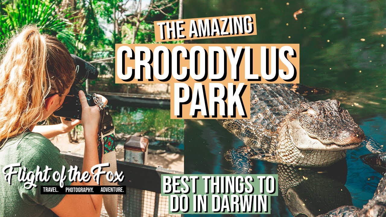 Crocodylus Park | Feeding giant saltwater CROCODILES 🐊 | Darwin Life Ep. 39 - Northern Territory