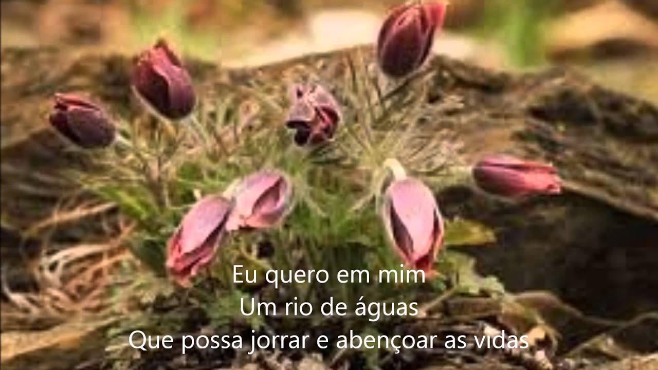 Rio de águas vivas   Pr André Etzberger