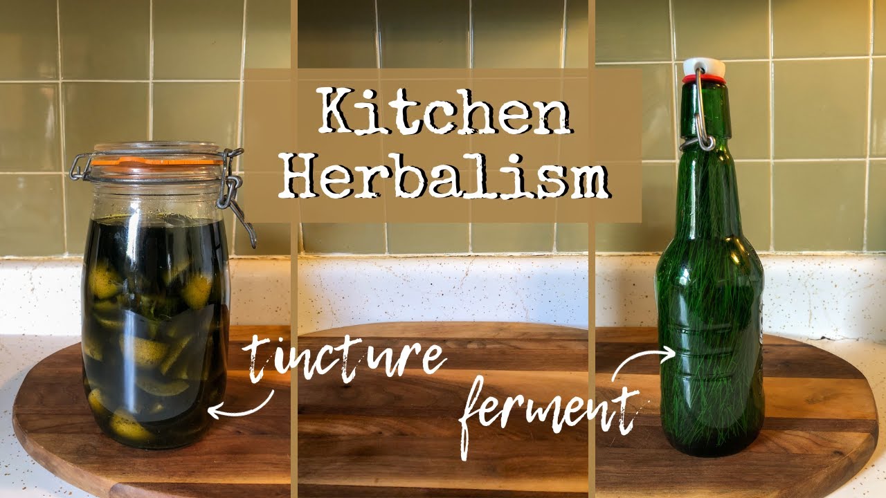 Foraging Plants & Kitchen Herbalism | THE HOME APOTHECARY