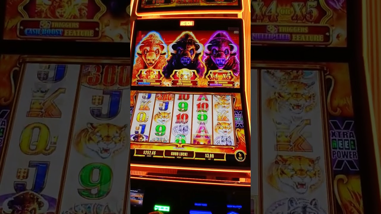 Buffalo cash 💰 8 juegos #slot #casino #slotscasinogames #slotmachine #jackpot #arcade #gaming