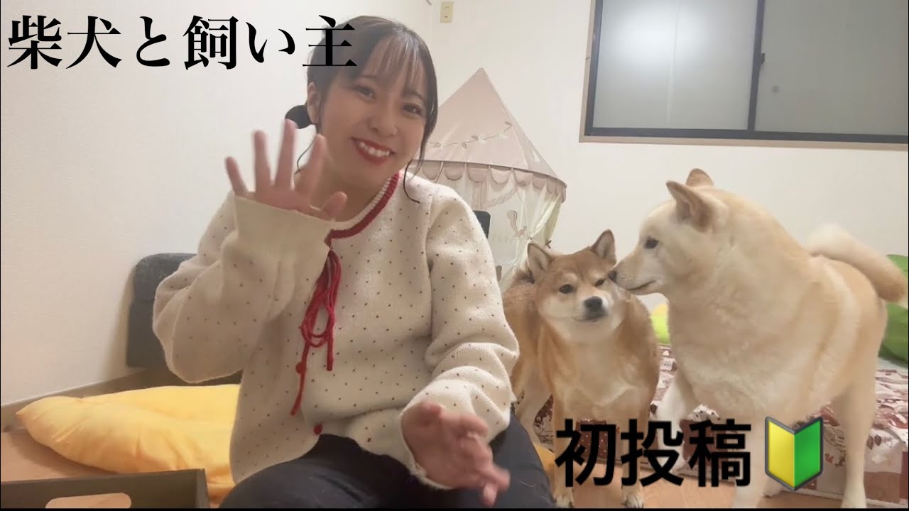 【初投稿】柴犬と飼い主