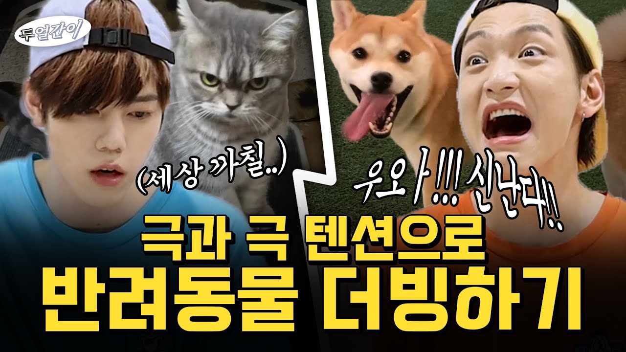 *천하제일 더빙대회* 내 반려동물이 말을 한다면?!
