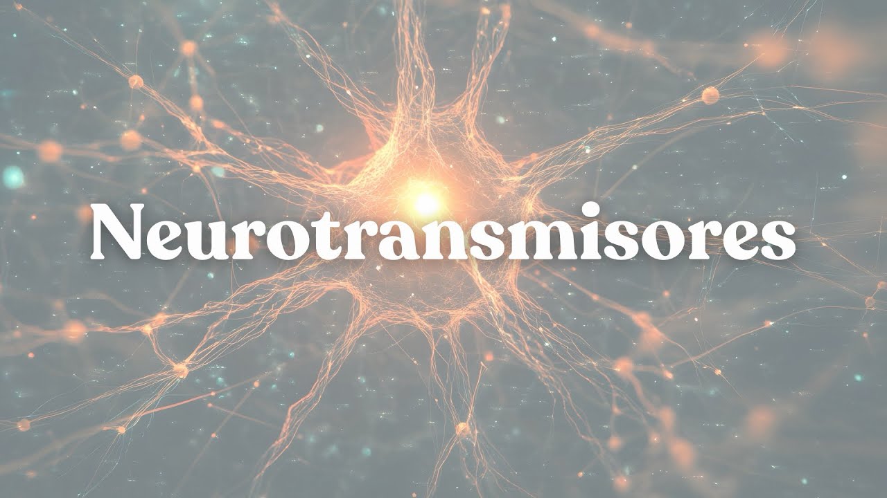 Neurotransmisores y sus vías cerebrales 