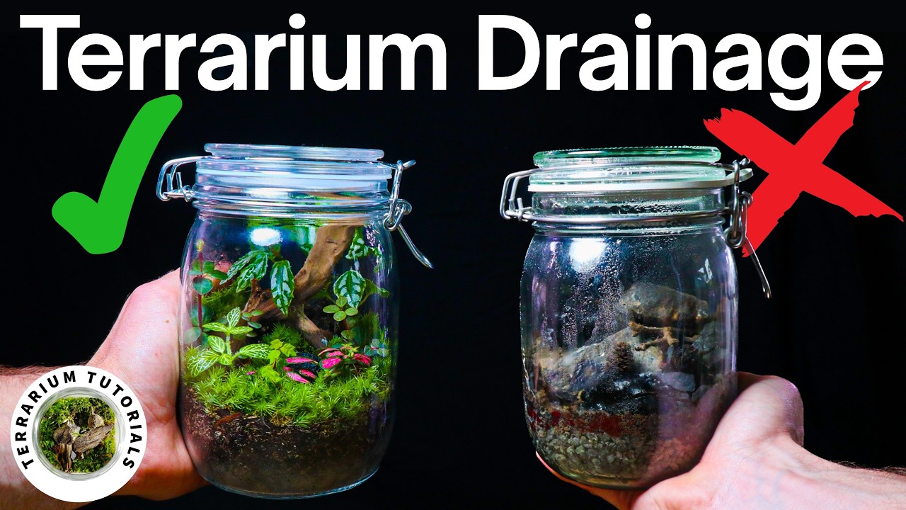 What Is Terrarium Drainage And How Does It Work?