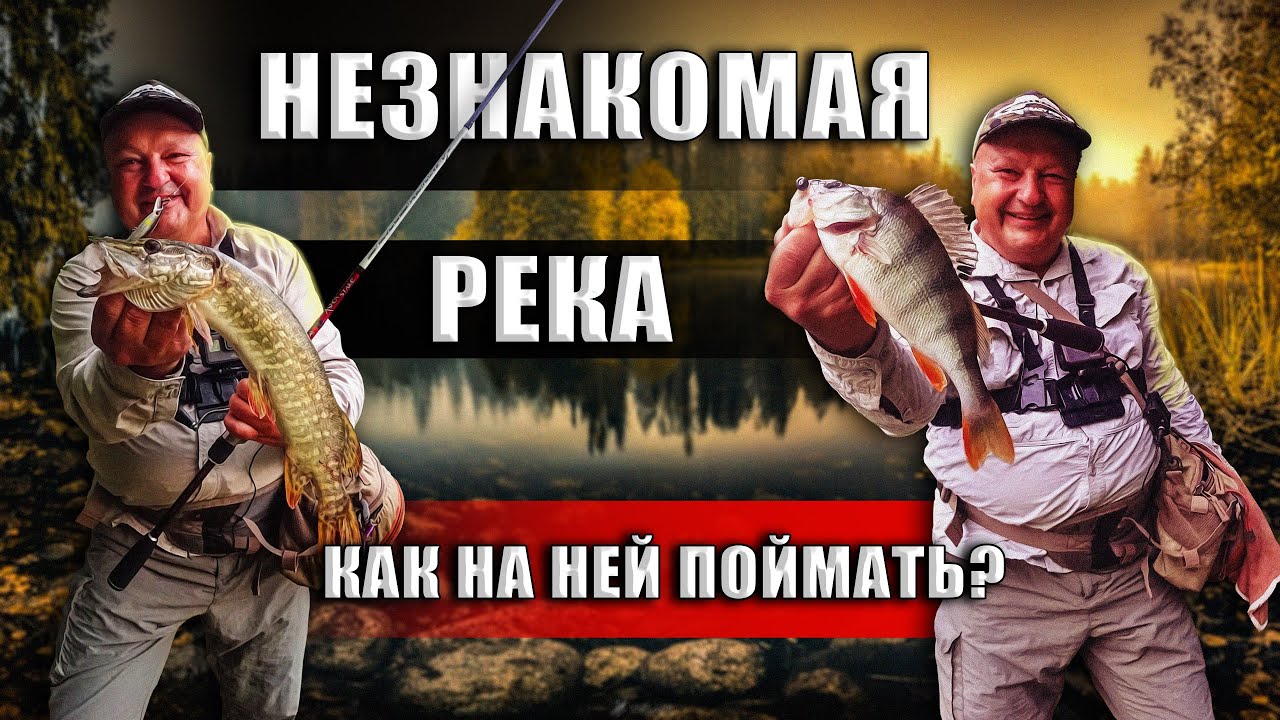 КАК ПОЙМАТЬ НА НОВОЙ РЕКЕ? Какие приманки и проводки на хищника работают? Ловим на Aspen Stake 862LT