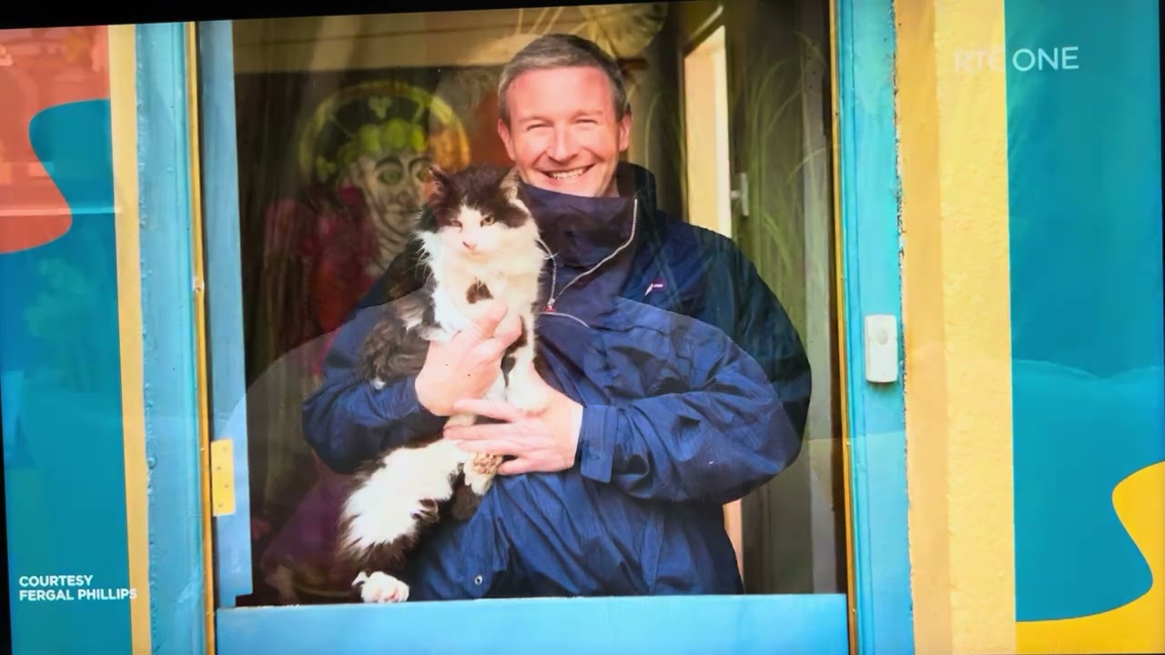 The Folklore of Cats In Ireland