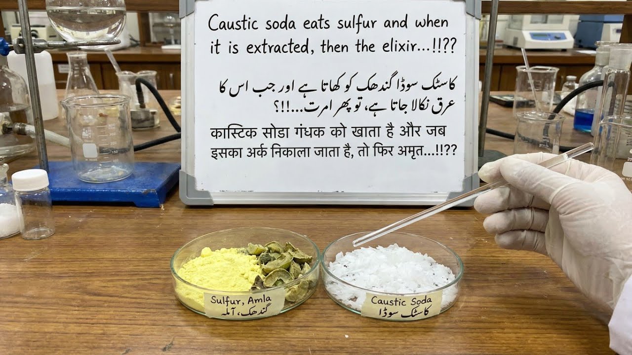 Gandhak Qaim Dhat men Gawasi | Shingraf ki dhat ka rang tail hokar gawas karti he .....
