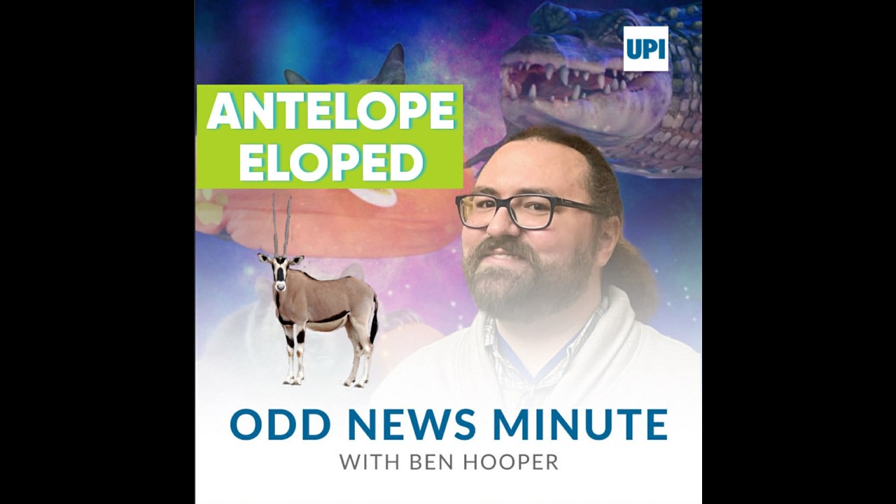 Odds and Ends: Nashville antelope, extra teeth