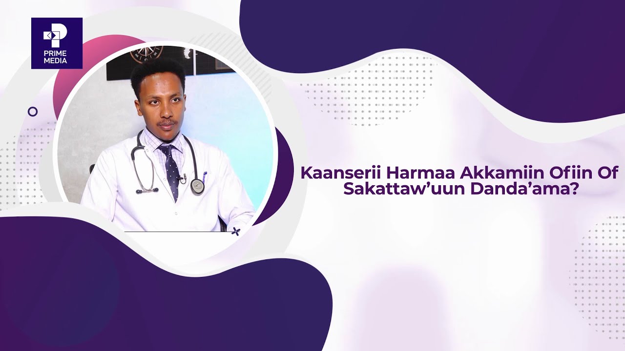 Kaanserii Harmaa Akkamiin Ofiin of Sakattaw'uun Danda'ama?