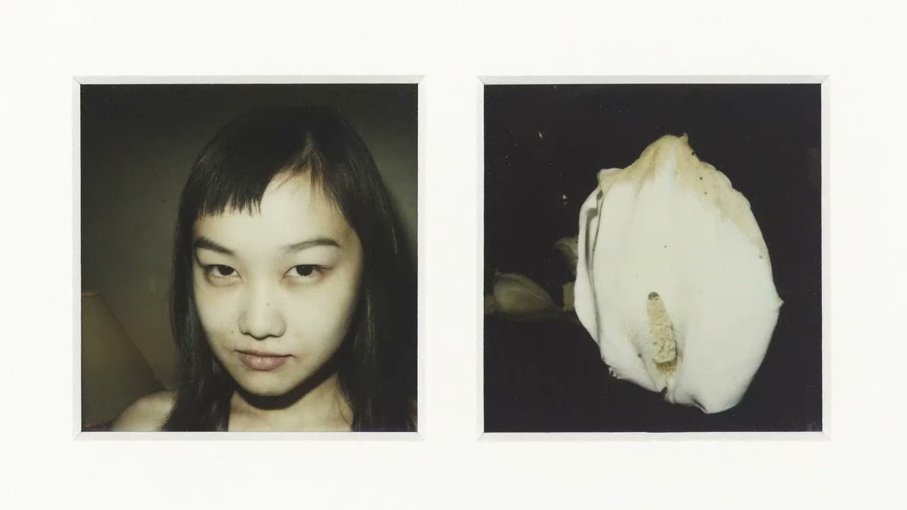 POLARAKI - Mille polaroids d&rsquo;Araki Nobuyoshi